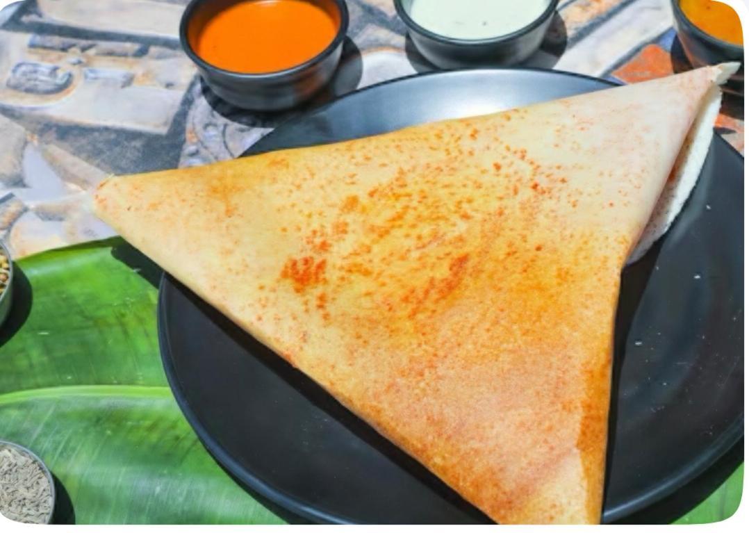 Hotel Dosa Plaza 烏代浦 外观 照片
